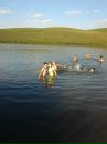 Леночка Яковлева фотография #27 (источник - https://vk.com/id91689544)