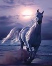 Οлеся Κудрявцева фотография #19 (источник - https://vk.com/id169427654)