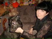 Фотография Метёлкиной Елены