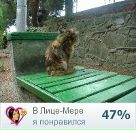 Фотография Бушина Андрея