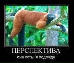 Фотография Абрикосова Сигизмунда