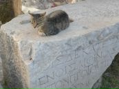 Viento Norte фотография #36 (источник - https://vk.com/id4030273)