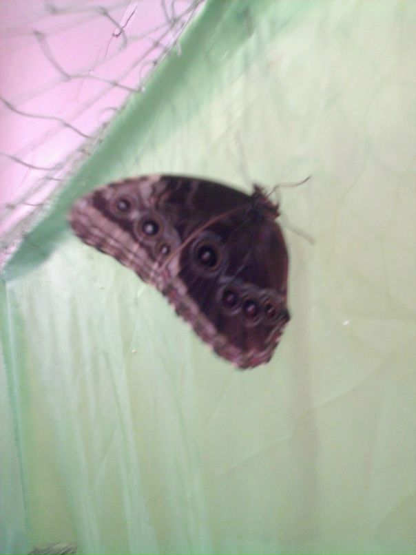 Катя Клименко фотография #29