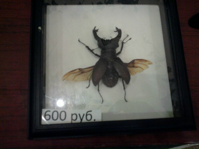 Катя Клименко фотография #27