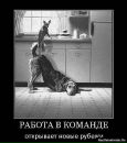 Фелікс Ілясевич фотография #45 (источник - https://vk.com/id12908592)
