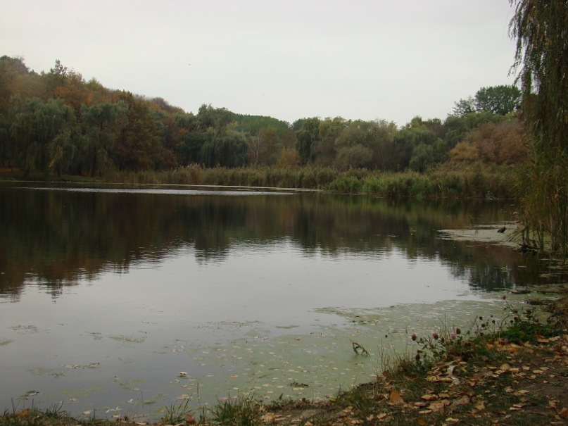 Igor Oleksenko фотография #47