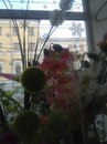 Милана ♥ фотография #10 (источник - https://vk.com/id156115320)