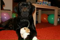 Фотография Коваленко Дмитрия