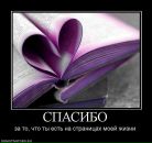 Ірина Бєлкіна фотография #38 (источник - https://vk.com/id44320221)