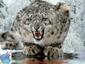 Фотография Ирбисова Дмитрия