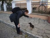 Віка Гребень фотография #33 (источник - https://vk.com/id5916455)