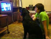 Фотография Григорьевой Анны