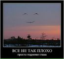 Фотография Долженко Елены