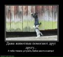 Богдан Погорілий фотография #31 (источник - https://vk.com/id90564212)