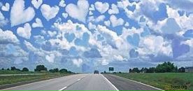 Анастасия Тигрова фотография #44 (источник - https://vk.com/id39195534)