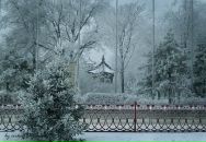 Mega Seratirov фотография #43 (источник - https://vk.com/id4808486)