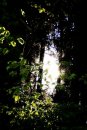 Ma Ria фотография #5 (источник - https://vk.com/id1476008)