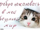 Фотография Галиуллиной Эвелины
