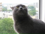 Фотография Золотовой Екатерины