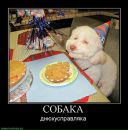Андрій Філевський фотография #22 (источник - https://vk.com/id8253747)