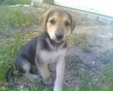 Фотография Азарова Артема