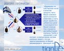 Людмила Тіанде фотография #6 (источник - https://vk.com/id160914023)