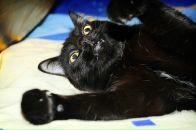 Фотография Радиборова Евгения