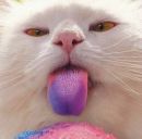 Іванка Луцька фотография #5 (источник - https://vk.com/id145673375)