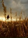 Фотография Сундукова Рафаэля