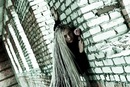 Фотография Давтян Тани