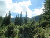 Андрій Копцюх фотография #16 (источник - https://vk.com/id5111309)