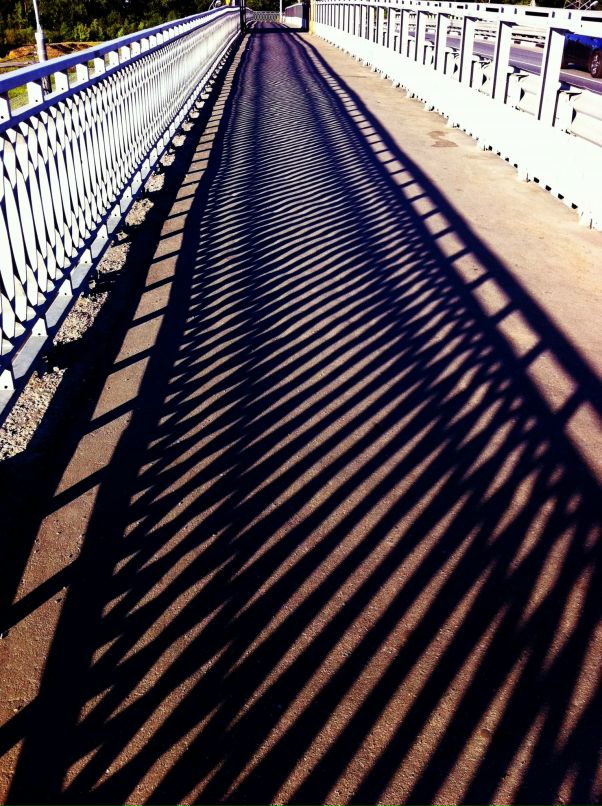 Александр Кадыкеев фотография #25