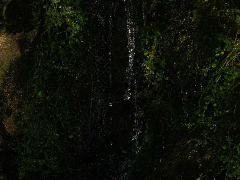 Дмитрий Толстых фотография #28