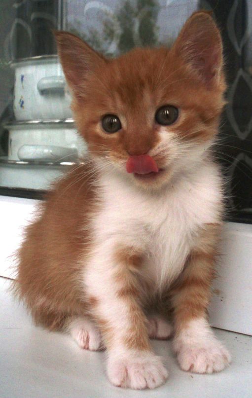 Еля Матвийчук фотография #4