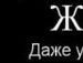 Віктор Віктор фотография #2 (источник - https://vk.com/id135312509)