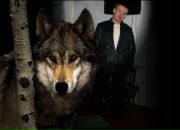 Фотография Бондаренко Дмитрия