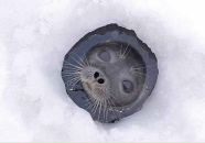 Фотография Пречистенской Екатерины