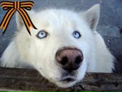 Фотография Трошиной Елены