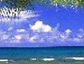 Лера Лоц фотография #17 (источник - https://vk.com/id57504657)