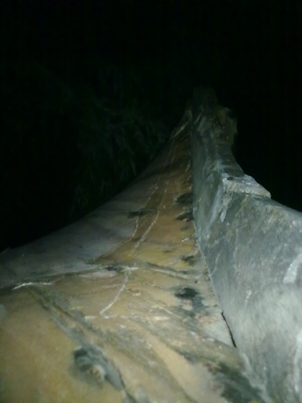 Данил Ушаков фотография #11