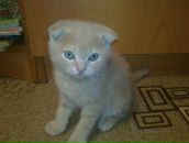 Фотография Шароновой Светланы