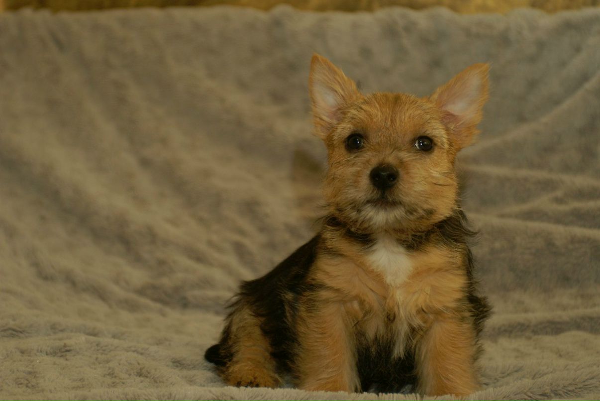 Anton Kasimov фотография #16