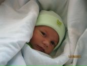 Фотография Меленко Светланы