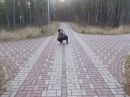 Фотография Шагеева Ильгиза