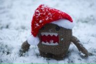 Фотография Полуэктовой Светланы