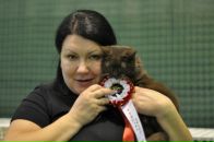 Фотография Черкасовой Анны