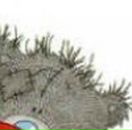 Анастасія Гудзак фотография #41 (источник - https://vk.com/id98965948)