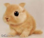 Фотография Урсеговой Лены