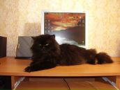 Дюрі Масяк фотография #20 (источник - https://vk.com/id19779231)