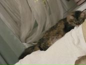 Фотография Мельниковой Иры